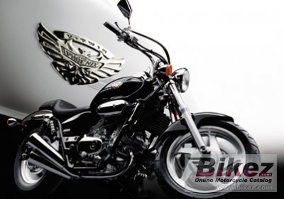 2006 Honda V-Twin Magna photo